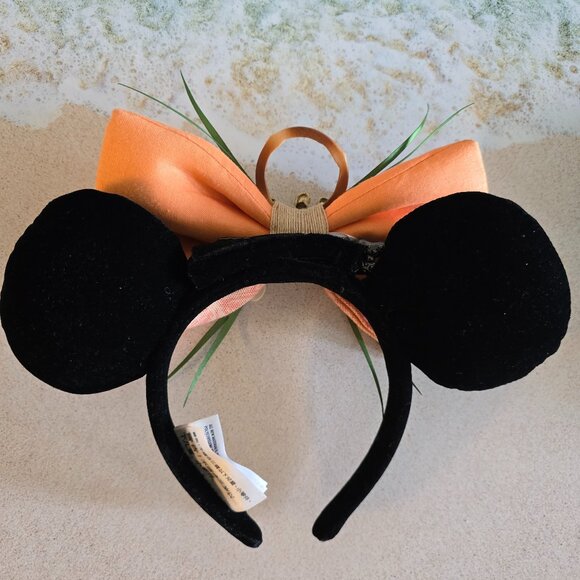 Disney Headband for Adults (interchangeable)